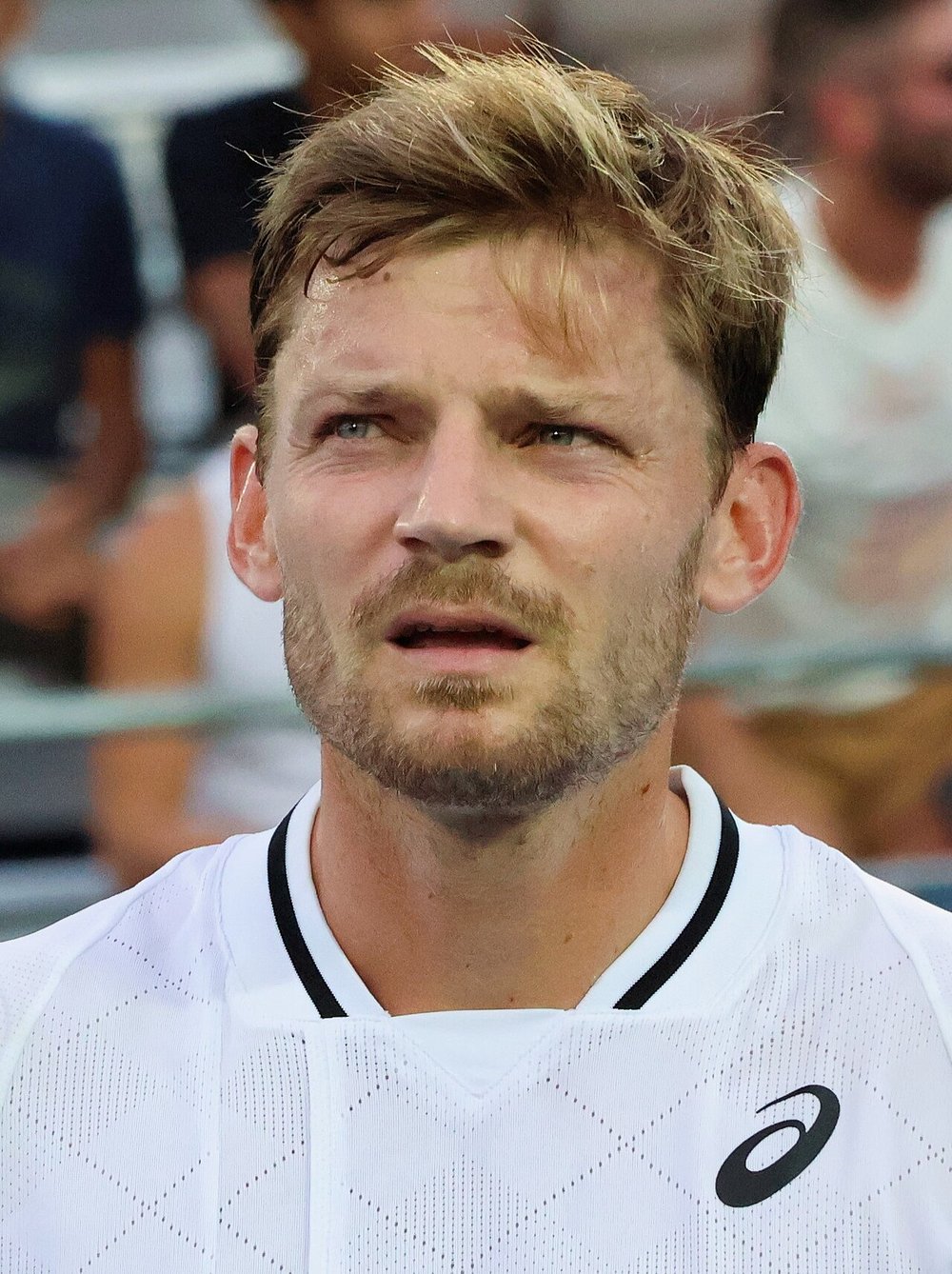 David Goffin